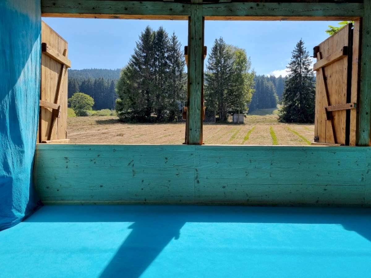 Neue Perspektiven: Installation von A Frei und Franziska Koch mit Nelson Irsapoullé, Tracy September und Vivian Wang.