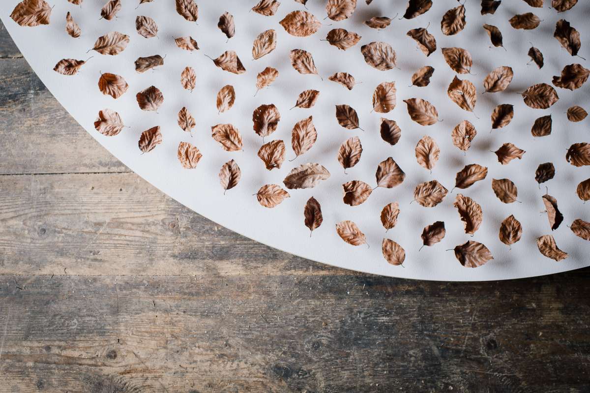 The rainmaker: Rudy Decelières wired up hundreds of dry beech leaves for his 