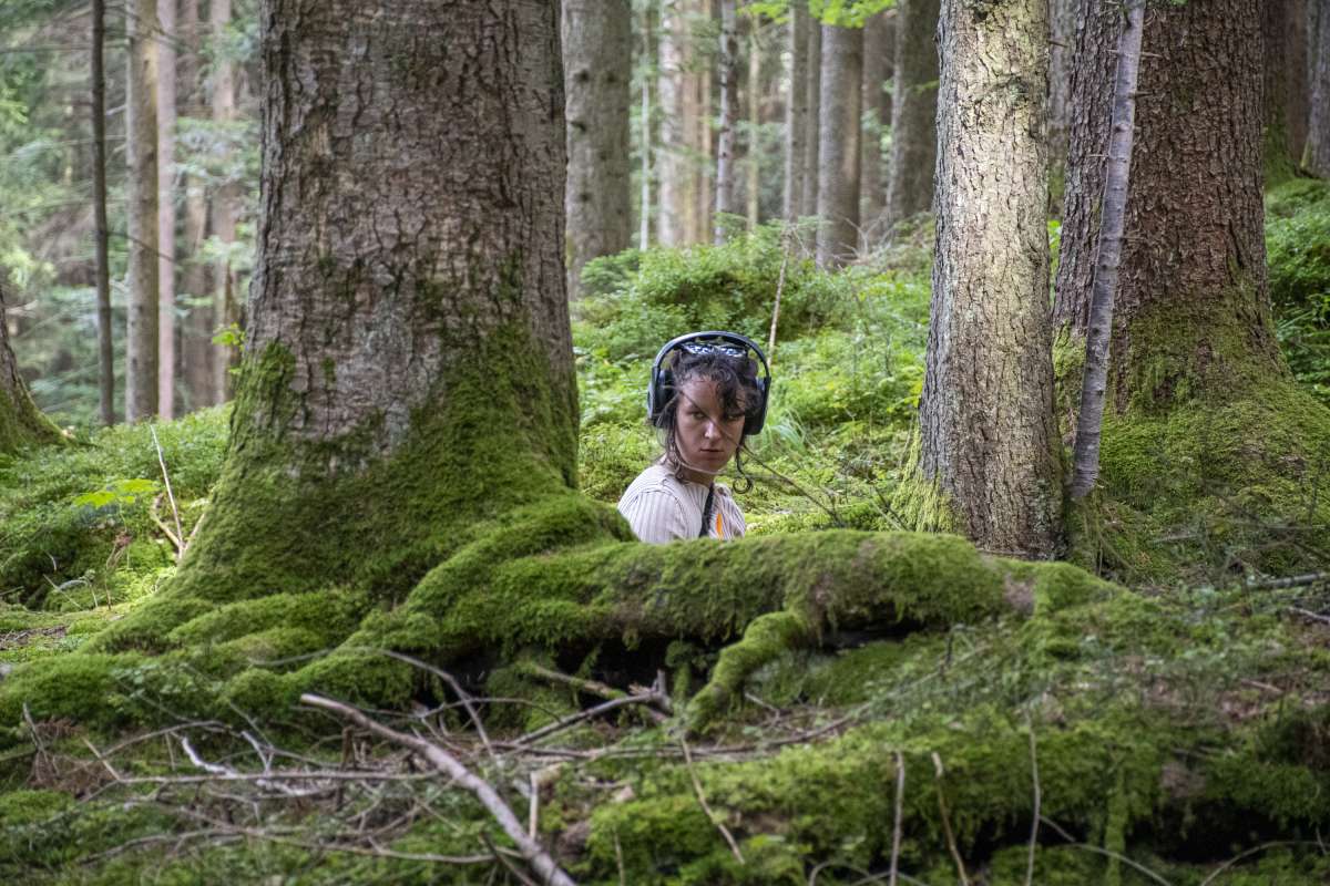 Immersing yourself in the sound of the forest: participant in Ludwig Berger's 
